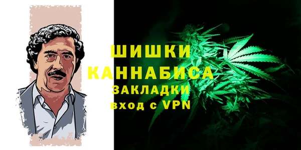 наркотики Бородино