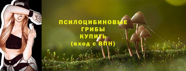 альфа пвп Бугульма