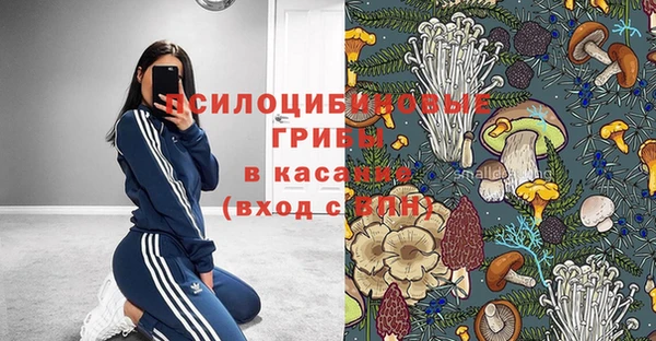 сатива Верхний Тагил