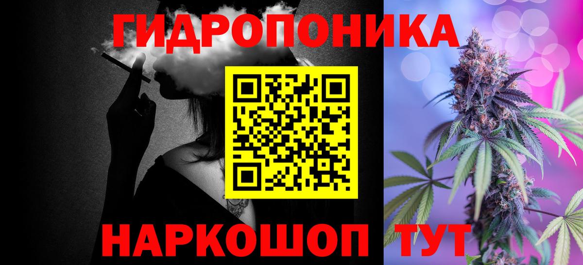 Каннабис конопля Гай